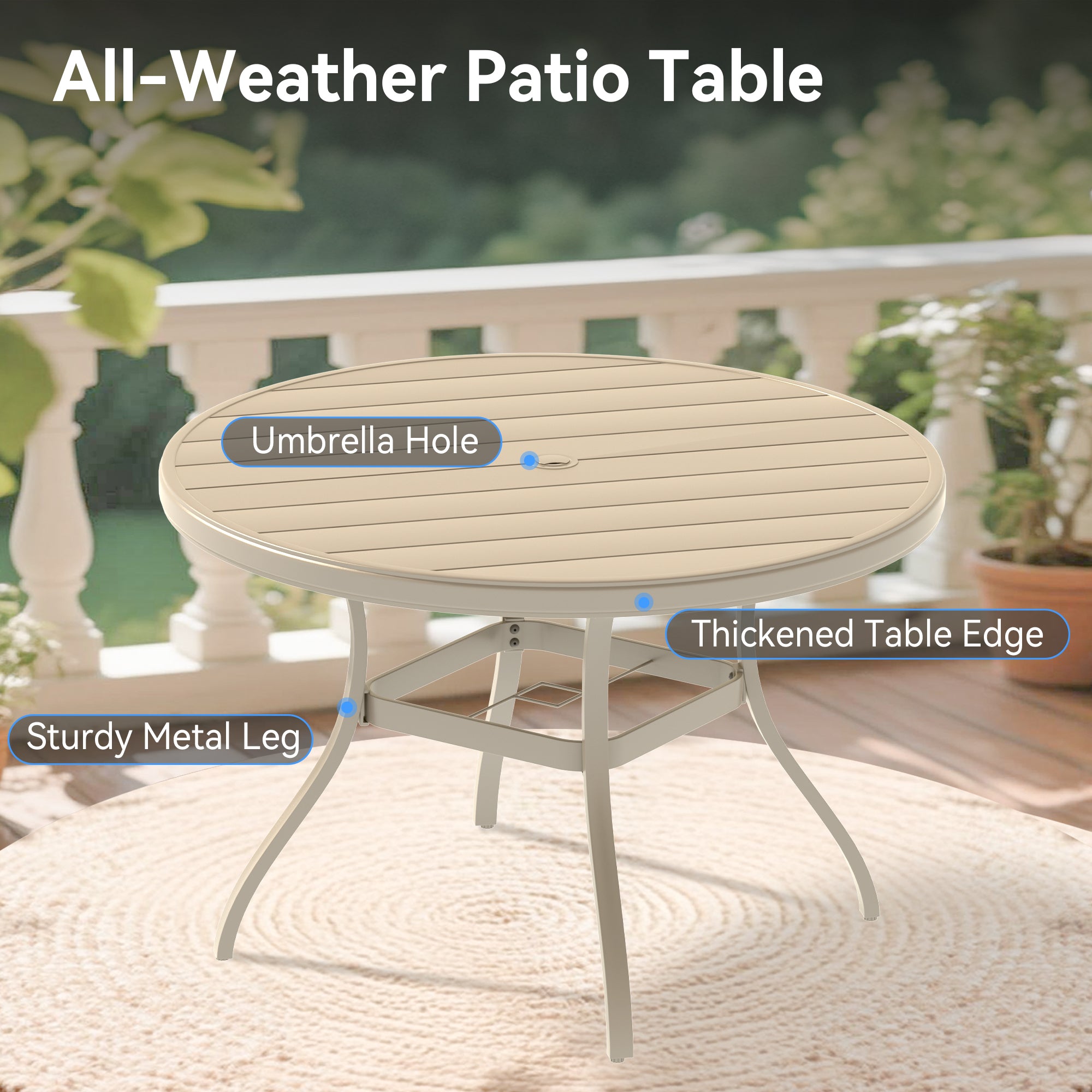 25116988