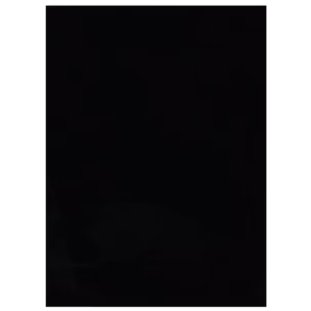 Rabbit Black 5x7 Area Rug